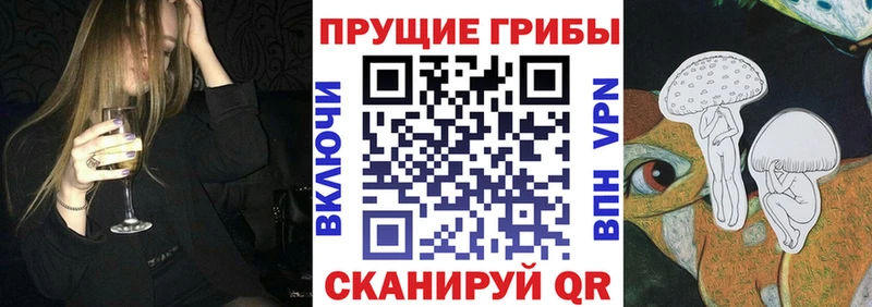 дарнет шоп  Мостовской  Галлюциногенные грибы Magic Shrooms 